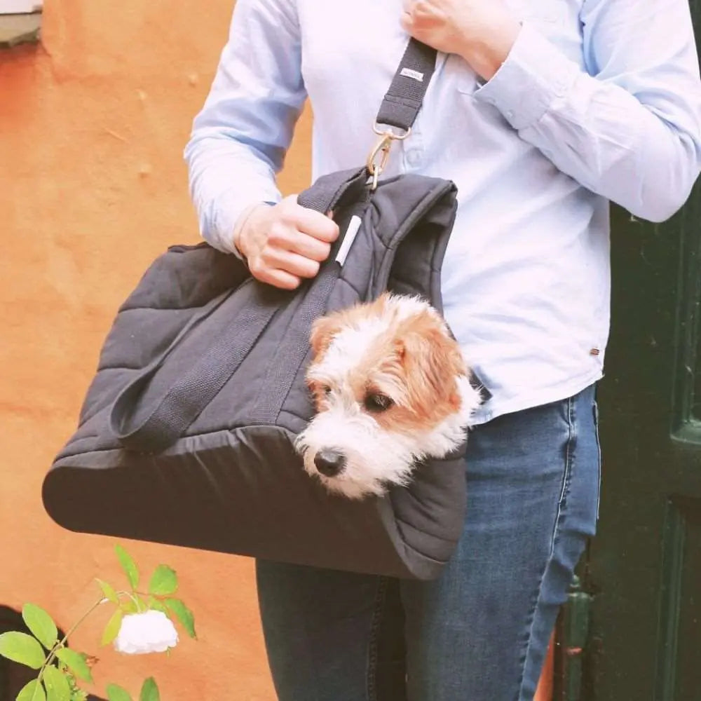 RIO Graue Hundetasche - tadazhi - Puplando